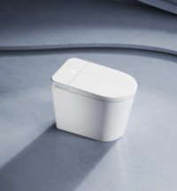 Washroom Toilet