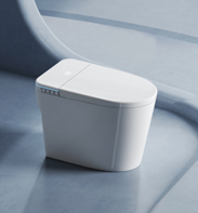 Washroom Toilet