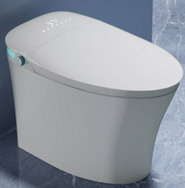 Commode Seat