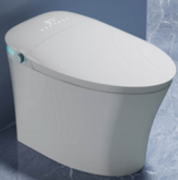 Commode Seat