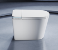 Washroom Toilet