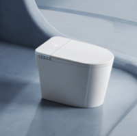 Washroom Toilet